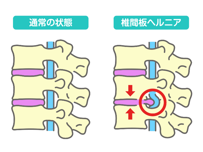 症状の原因を医学的知見から評価