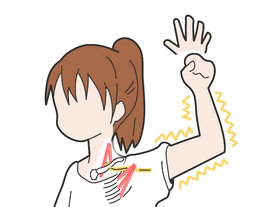 特徴