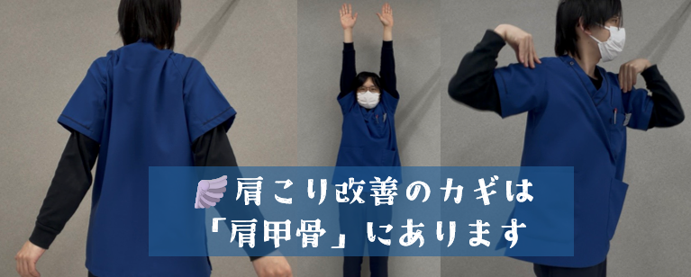 肩こり改善のカギは「肩甲骨」にあります🍀