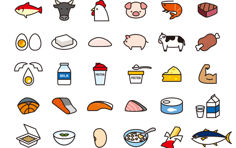 💪夏バテ予防には「たんぱく質」が大切！ 日本人はたんぱく質不足？毎日の食事を少し見直してみましょう！