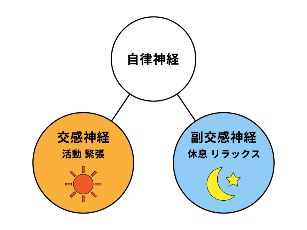 🌿なんとなく体調がすぐれない…それ、自律神経の乱れかもしれません。自律神経の働きと整え方