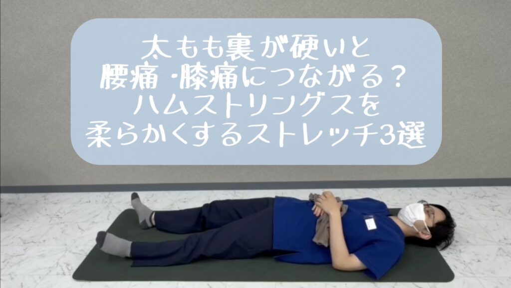 🦵太もも裏が硬いと腰痛・膝痛につながる？ ハムストリングスを柔らかくするストレッチ3選