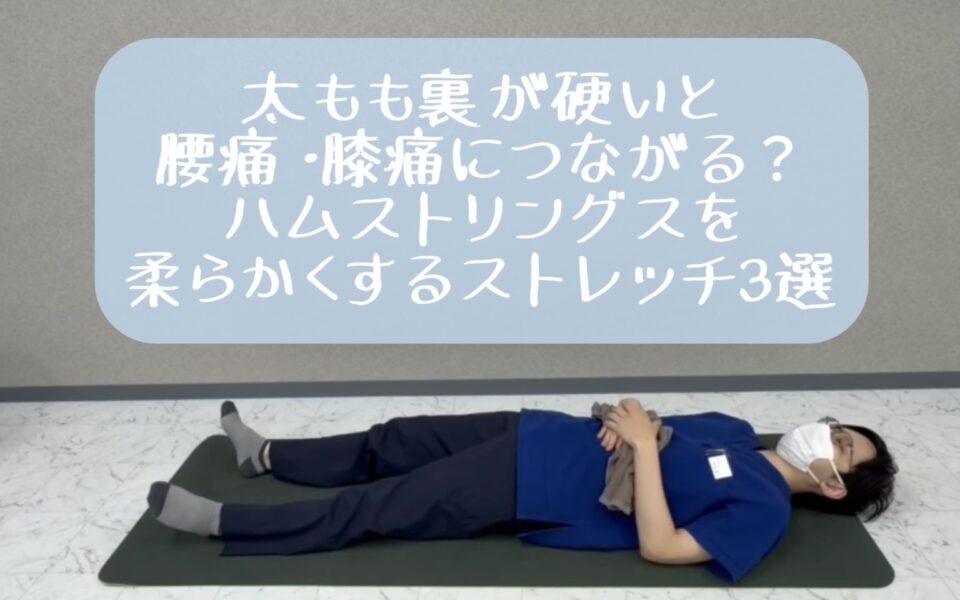 🦵太もも裏が硬いと腰痛・膝痛につながる？ ハムストリングスを柔らかくするストレッチ3選