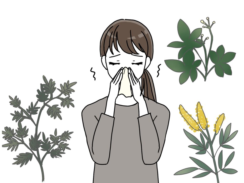 秋の花粉症に注意｜ブタクサ・ヨモギの花粉対策