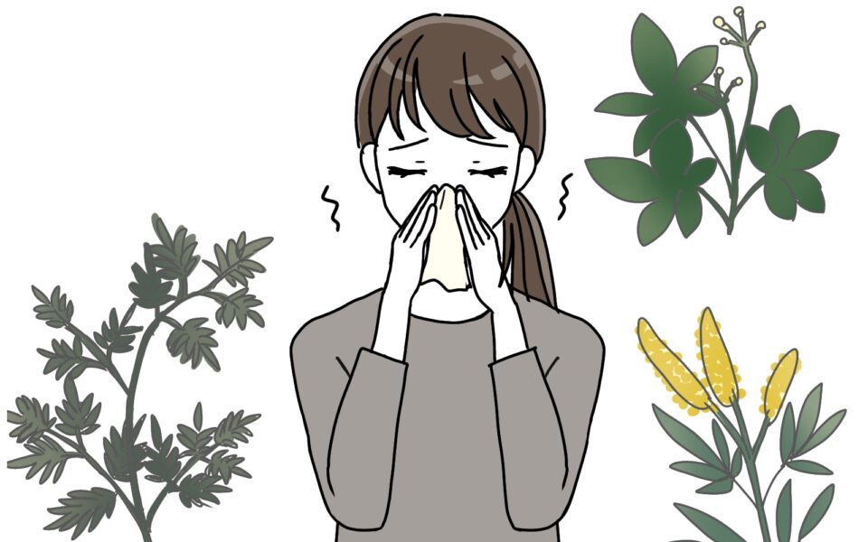 秋の花粉症に注意｜ブタクサ・ヨモギの花粉対策