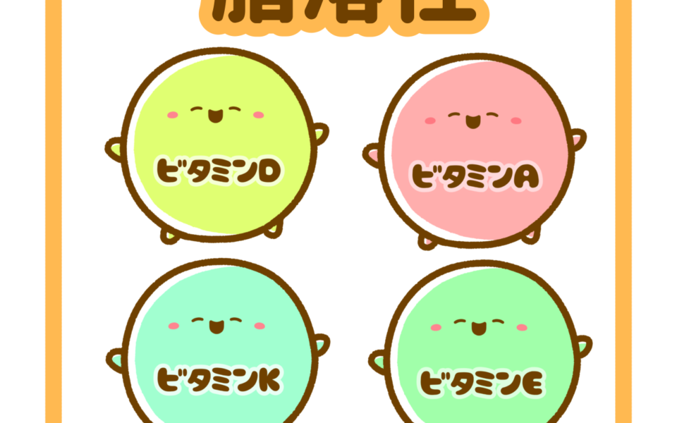 脂溶性ビタミンとは？A・D・E・Kの働きと食品