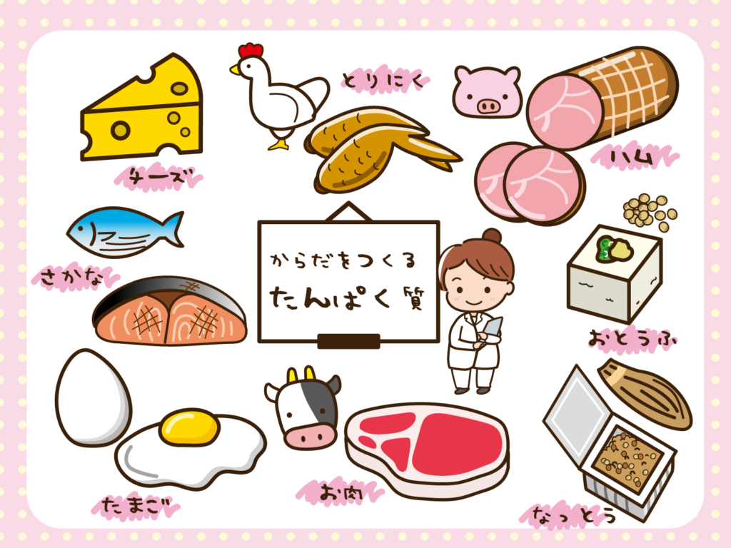 たんぱく質いろいろ