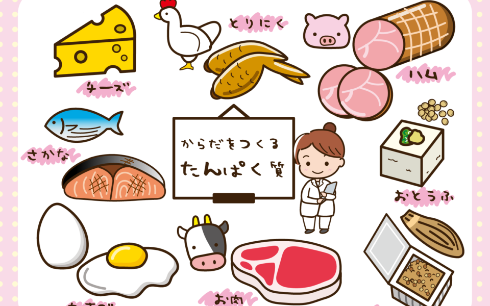 タンパク質不足に注意！毎日の食事で意識したい理由