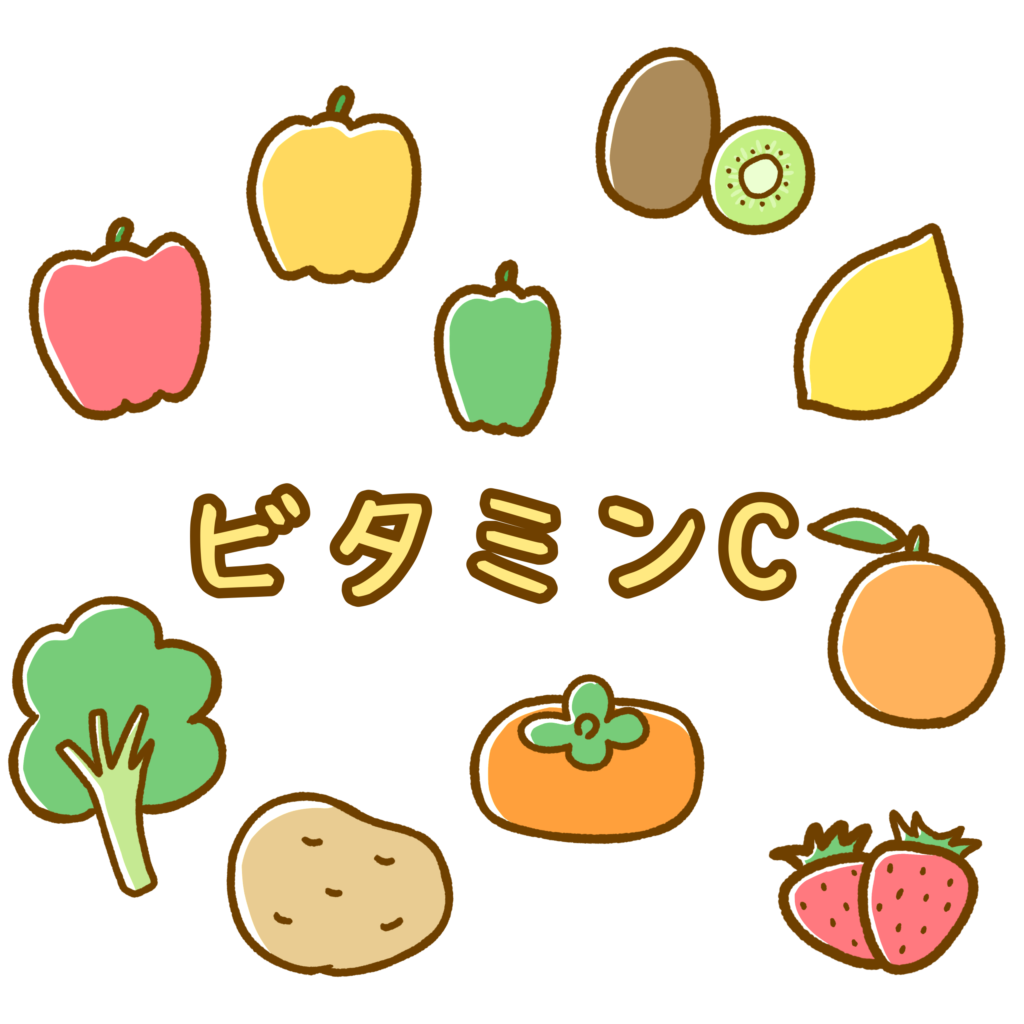 ビタミンCの働きとは？多く含まれる食品と摂り方
