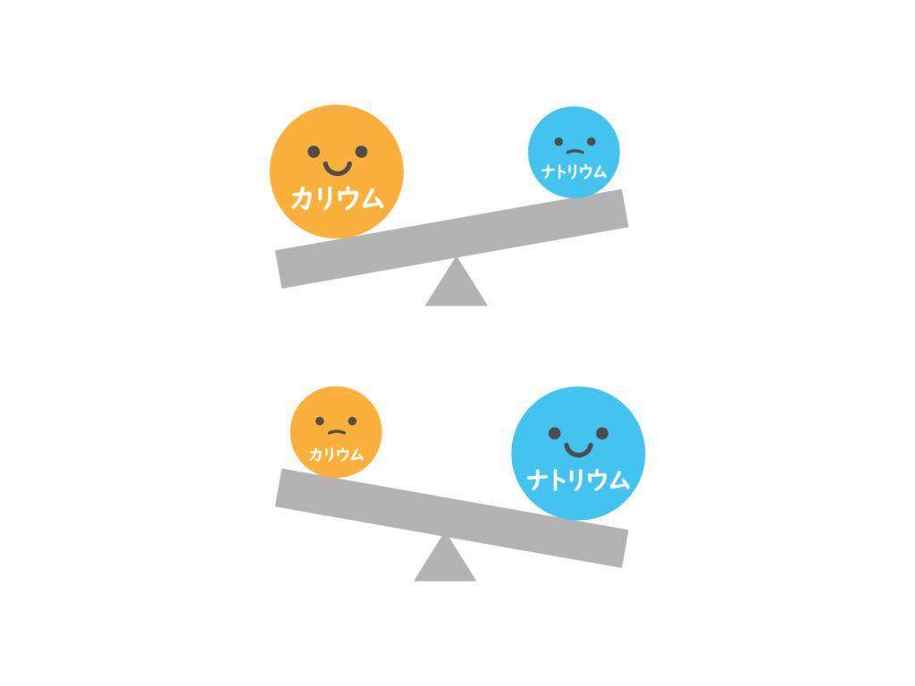 カリウムとナトリウムの働きとは？摂り方のポイント