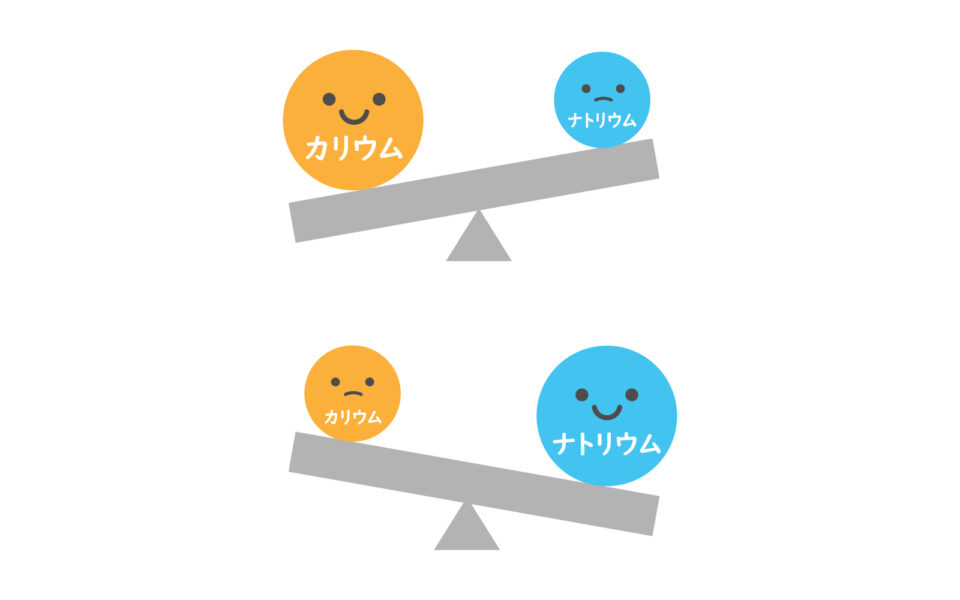 カリウムとナトリウムの働きとは？摂り方のポイント